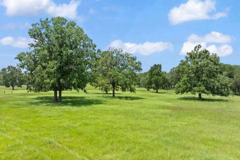 705 Antioch Road Paige TX 78659
