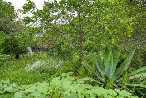 1905 Main Street Bastrop TX 78602