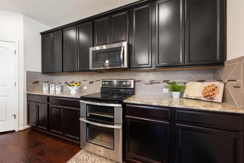 17221 Brittle Lane Pflugerville TX 78660