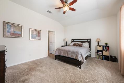 17221 Brittle Lane Pflugerville TX 78660