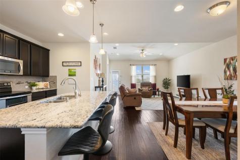 17221 Brittle Lane Pflugerville TX 78660
