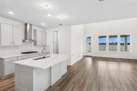 308 Amista Drive Liberty Hill TX 78642