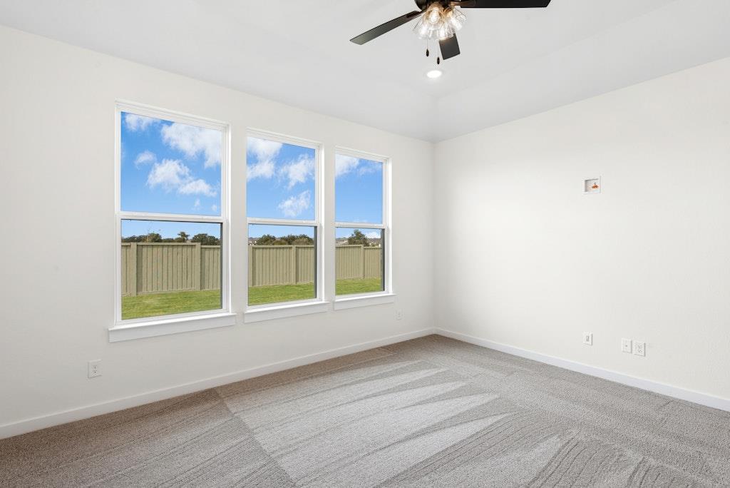 308 Amista Drive Liberty Hill TX 78642