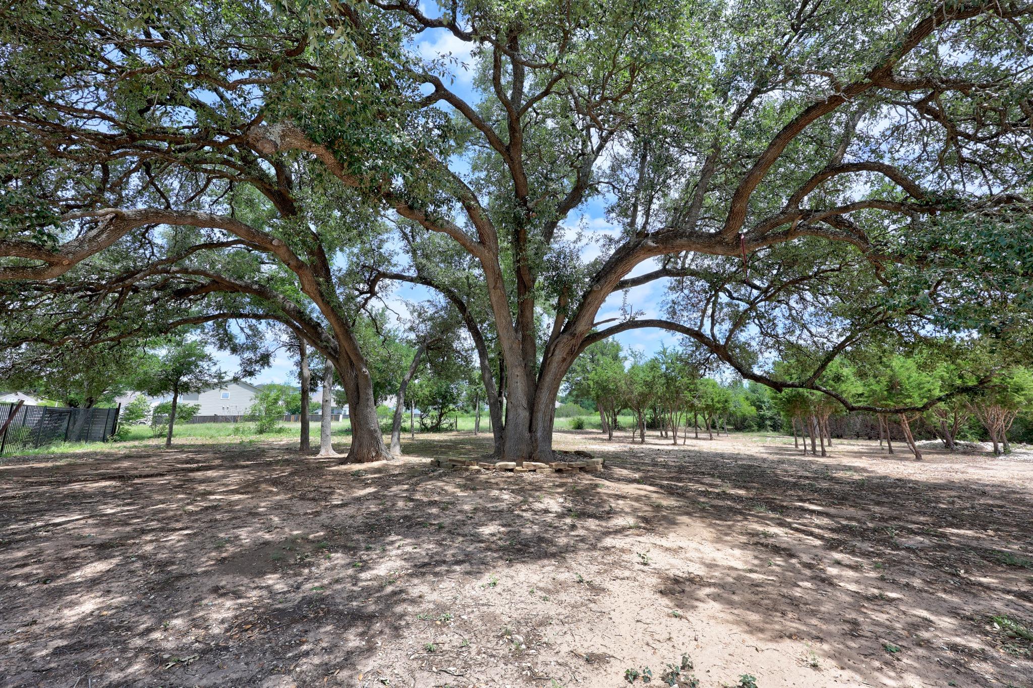 1837 Halflinger Lane Leander TX 78628