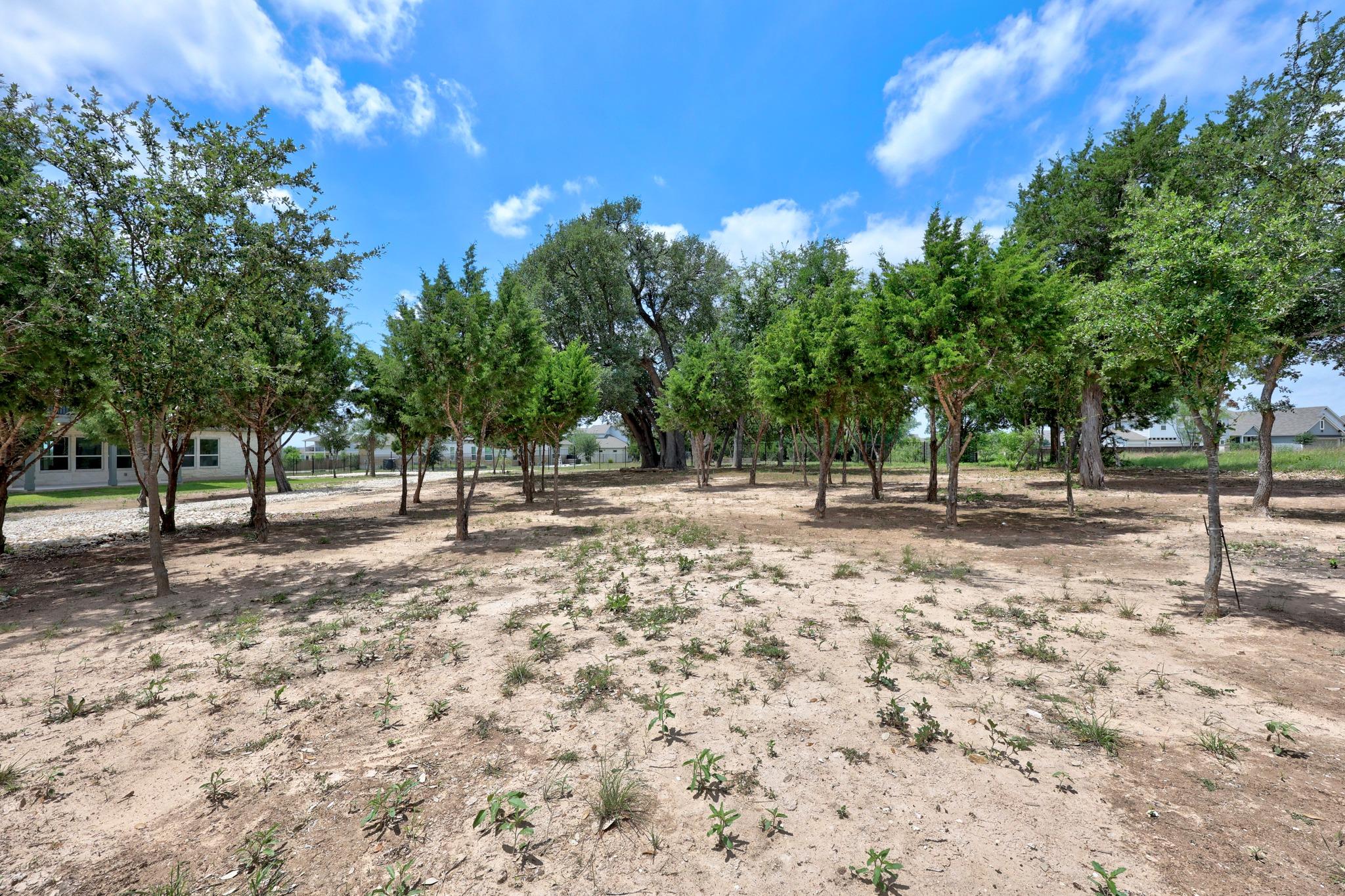 1837 Halflinger Lane Leander TX 78628