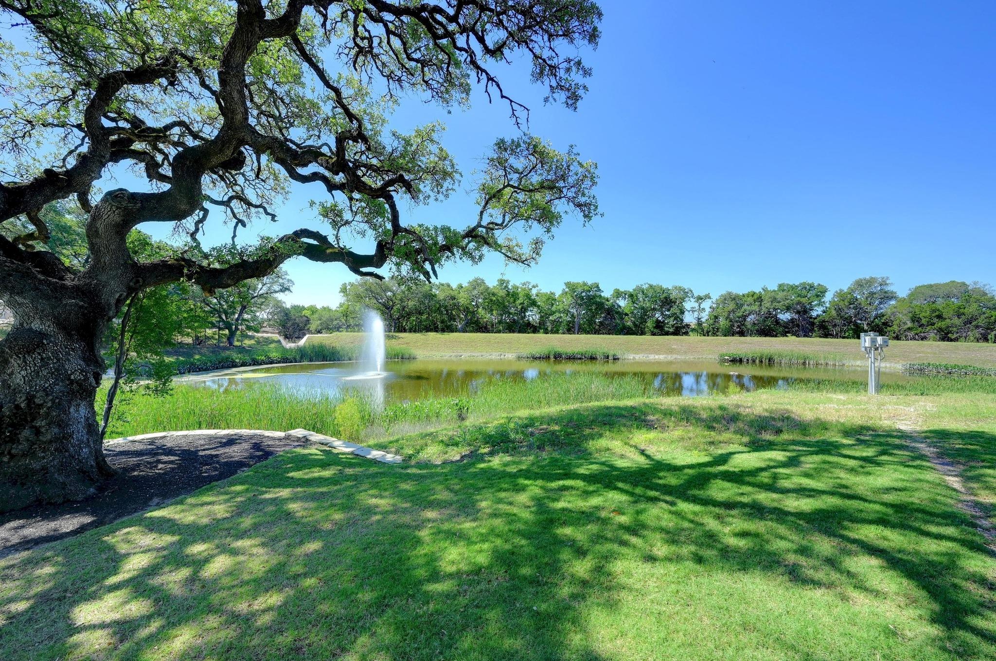 1837 Halflinger Lane Leander TX 78628