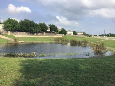 1021 Traci Michelle Drive Pflugerville TX 78660