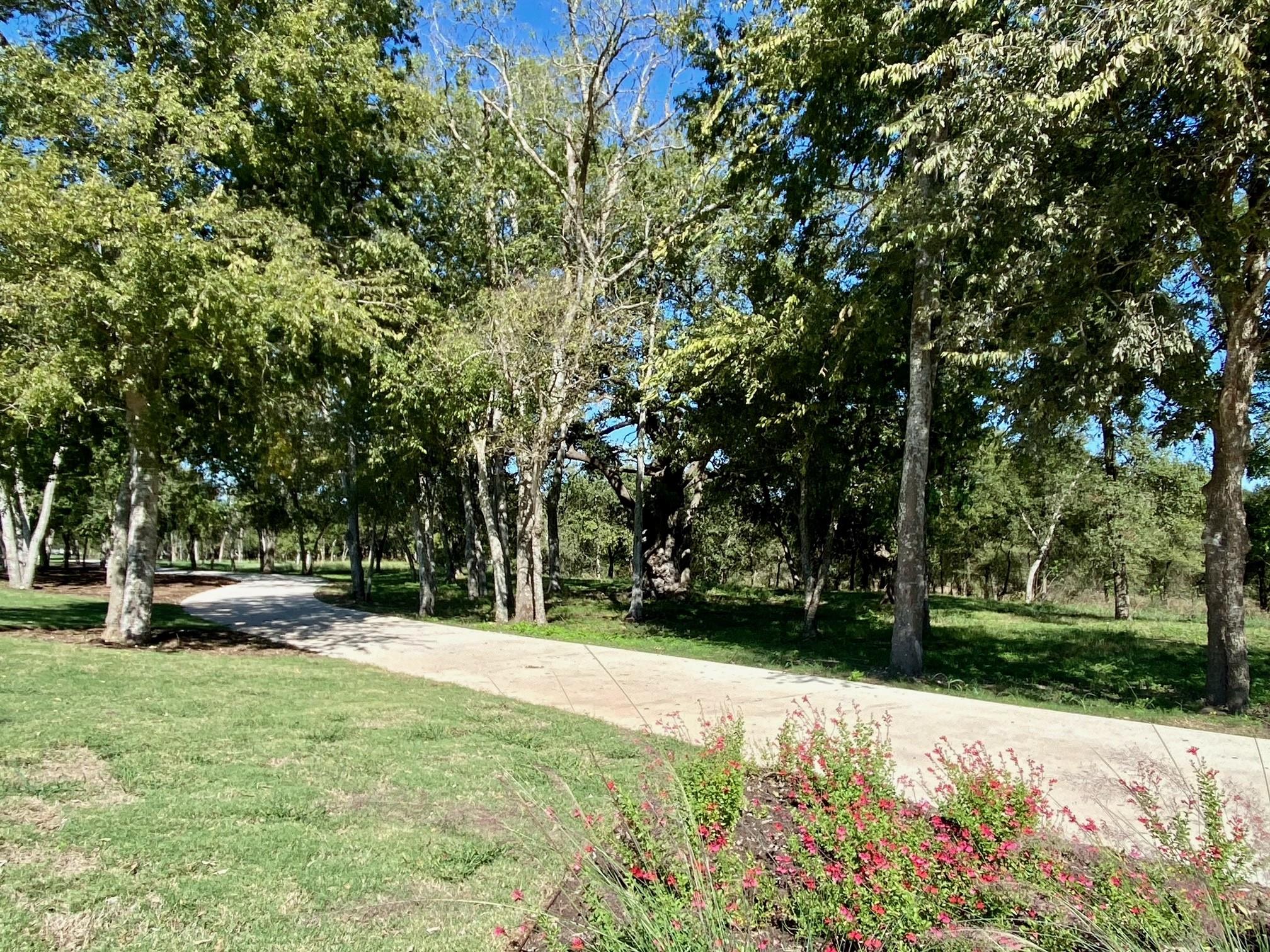 4513 Lava Island Drive Austin TX 78747