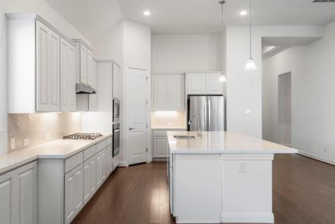 19312 Tristan Stone Drive Pflugerville TX 78660