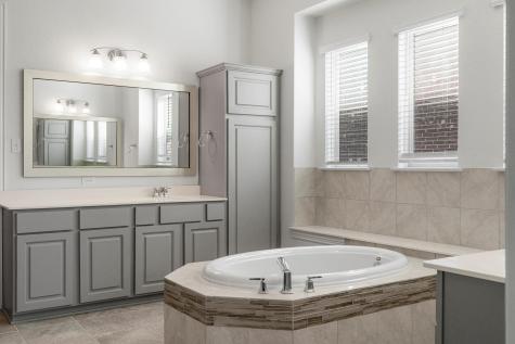 19312 Tristan Stone Drive Pflugerville TX 78660