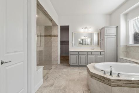 19312 Tristan Stone Drive Pflugerville TX 78660