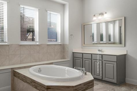 19312 Tristan Stone Drive Pflugerville TX 78660