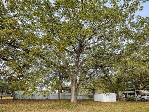 504 Hickory Street Smithville TX 78957