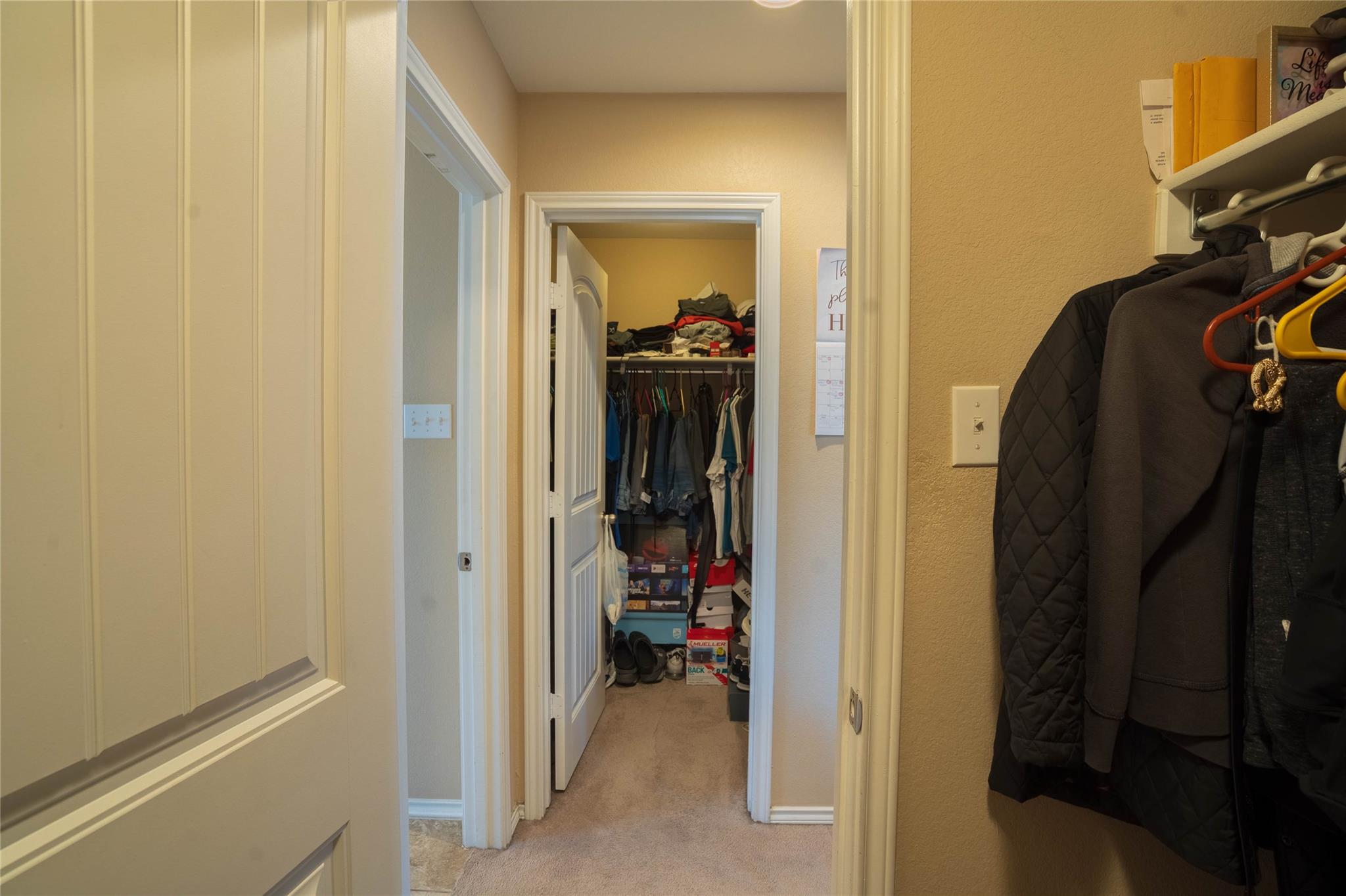 862 Apricot Drive Kyle TX 78640