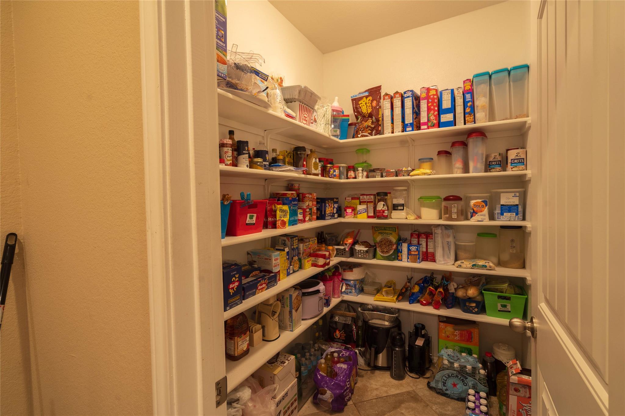 862 Apricot Drive Kyle TX 78640