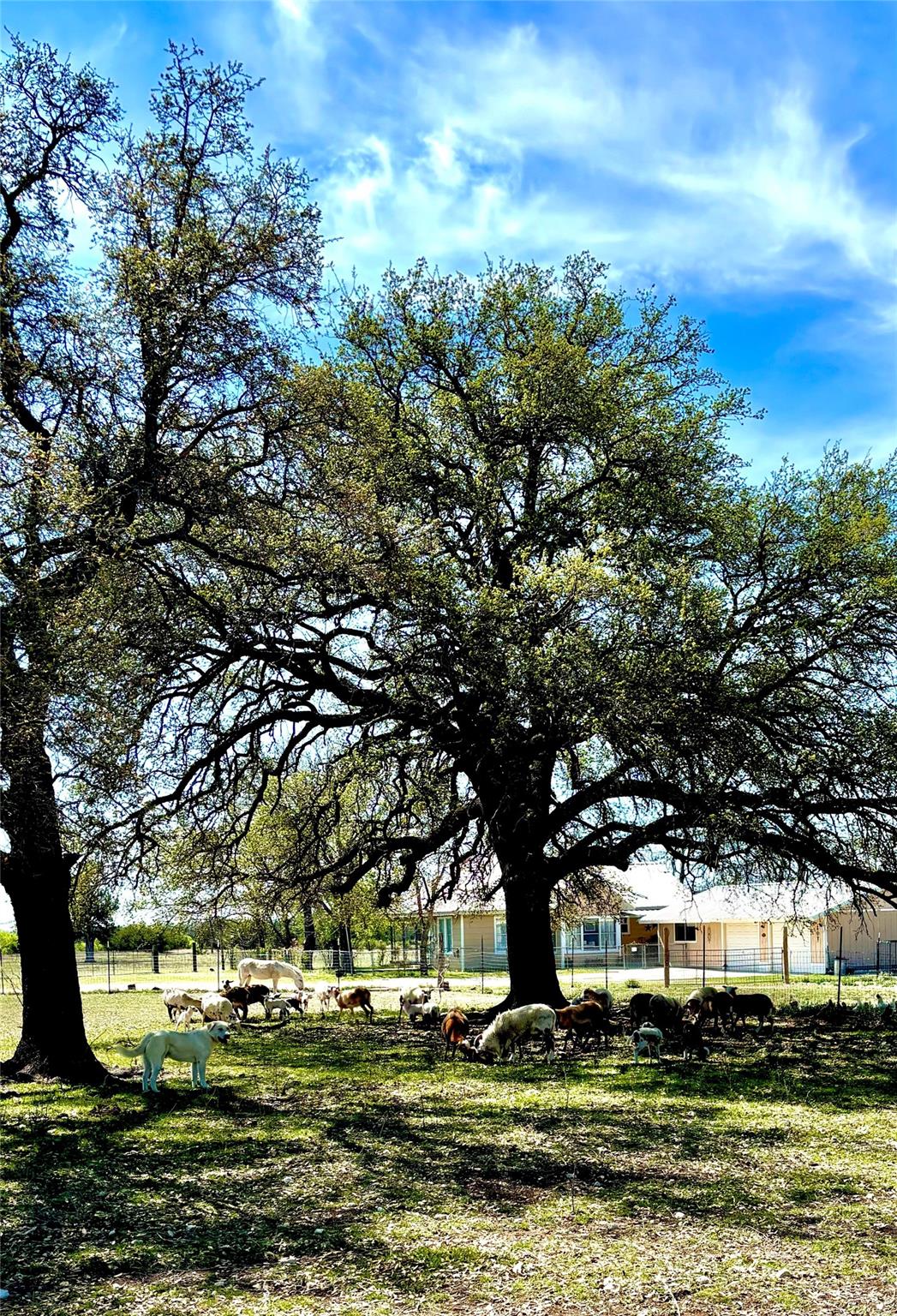 656 County Road 1301 Lampasas TX 76550