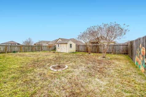 1007 Papaya Cove Hutto TX 78634