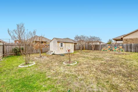 1007 Papaya Cove Hutto TX 78634