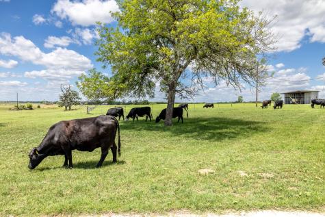 6589 State Highway 304 Harwood TX 78632