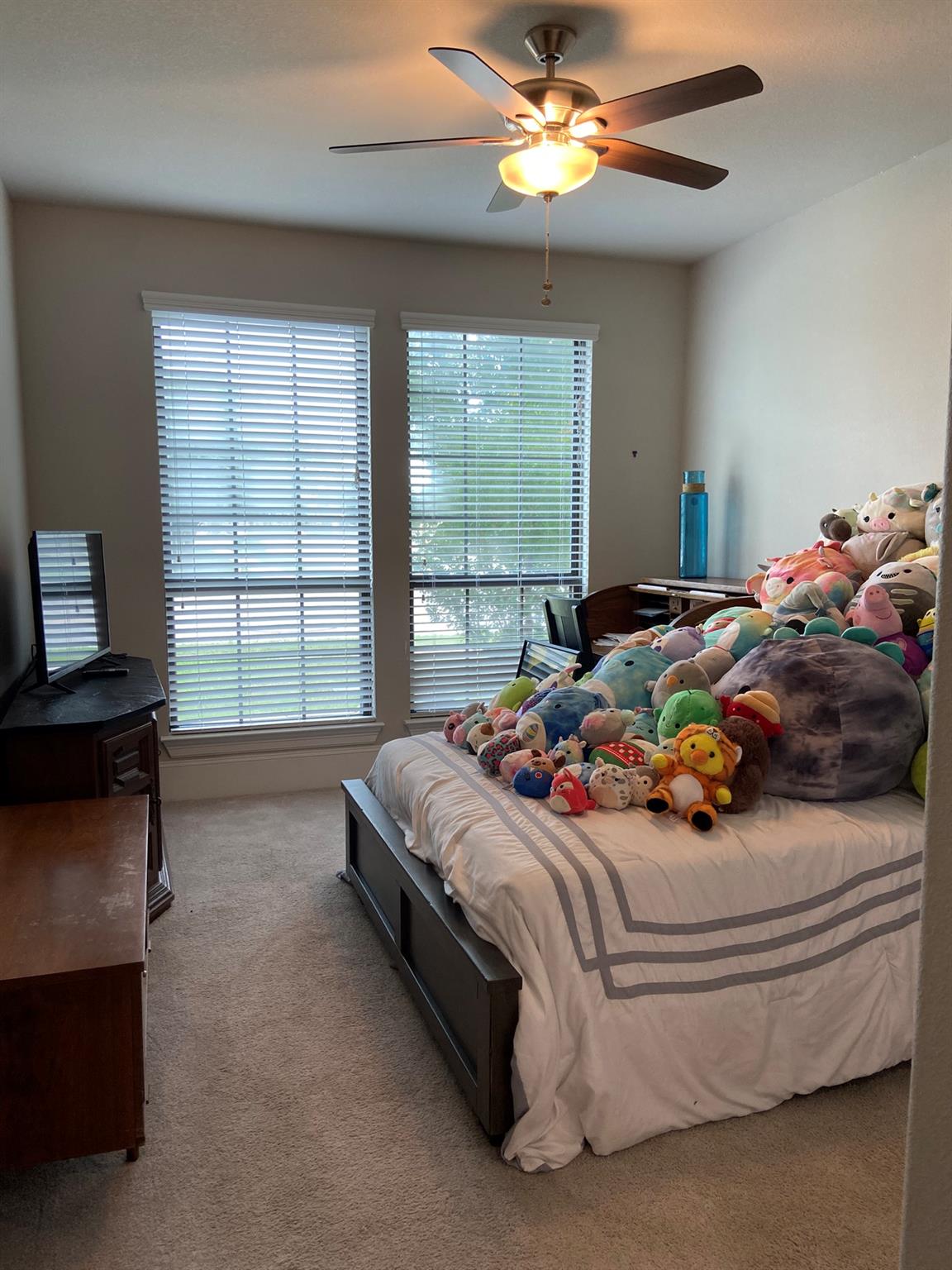 401 Millard Street Georgetown TX 78628