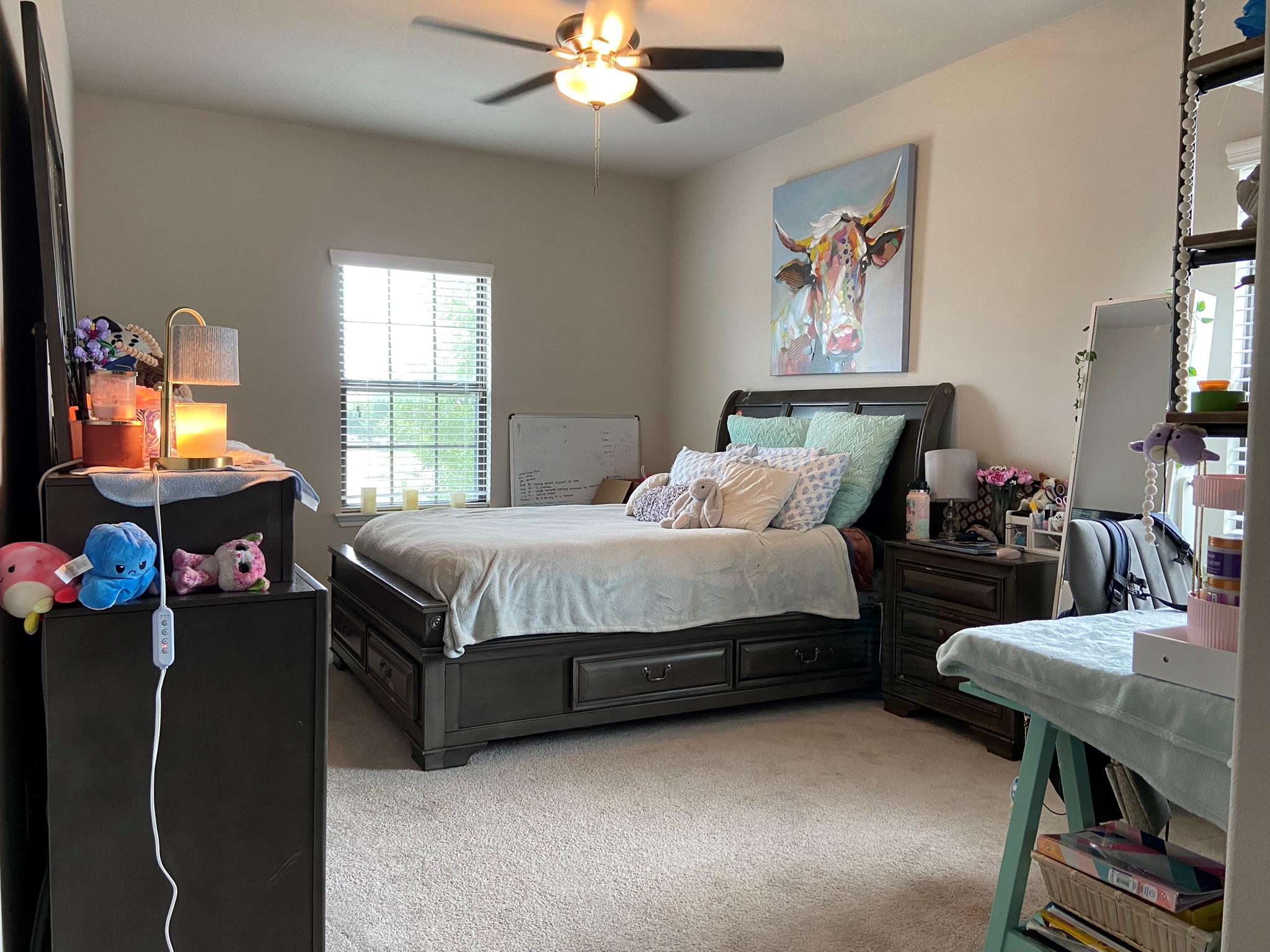 401 Millard Street Georgetown TX 78628
