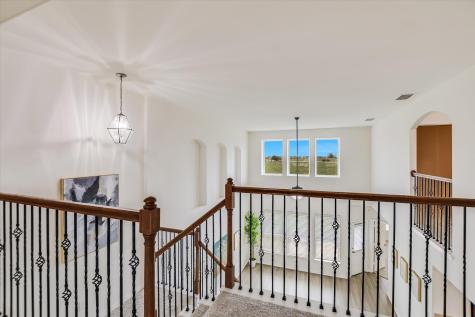 115 Mollie Drive Hutto TX 78634