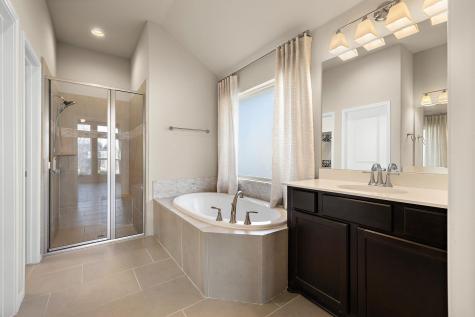 14113 Arbor Hill Cove Manor TX 78653
