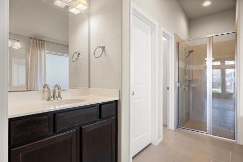 14113 Arbor Hill Cove Manor TX 78653