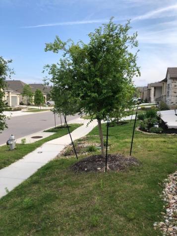 1621 Brueggerhoff Road Leander TX 78641