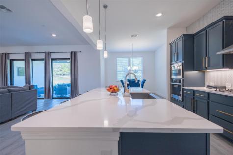 121 Black Talon Lane Cedar Creek TX 78612