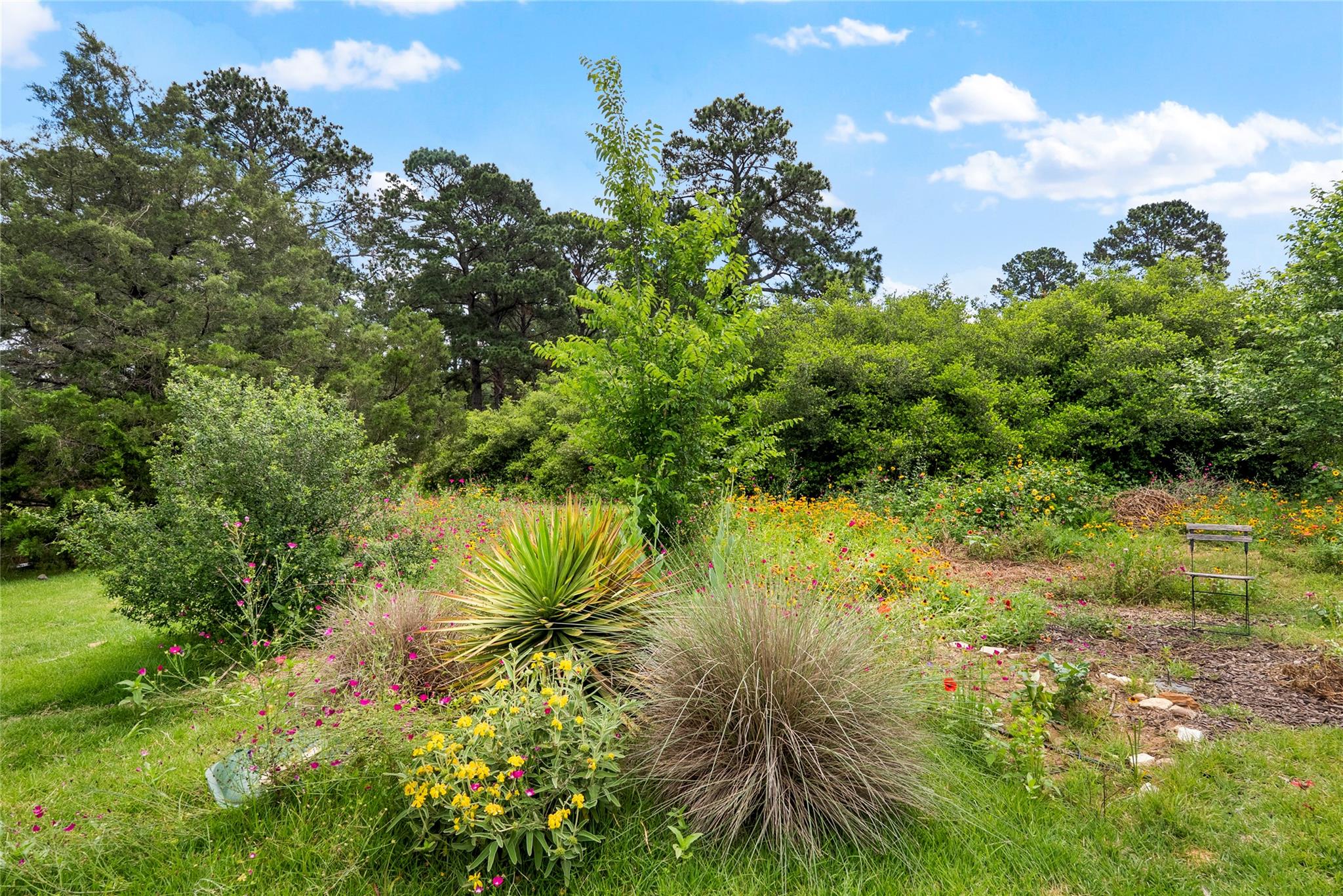 111 Green Grass Lane Bastrop TX 78602