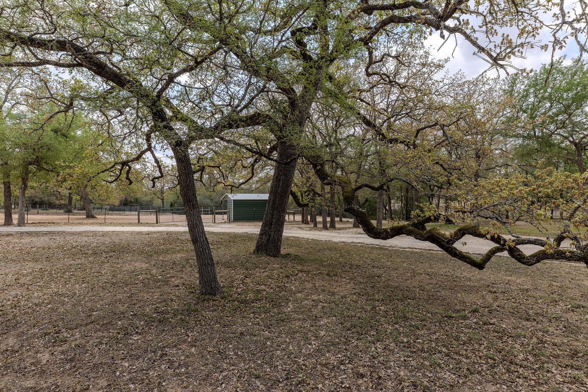 202 The Oaks Boulevard Elgin TX 78621