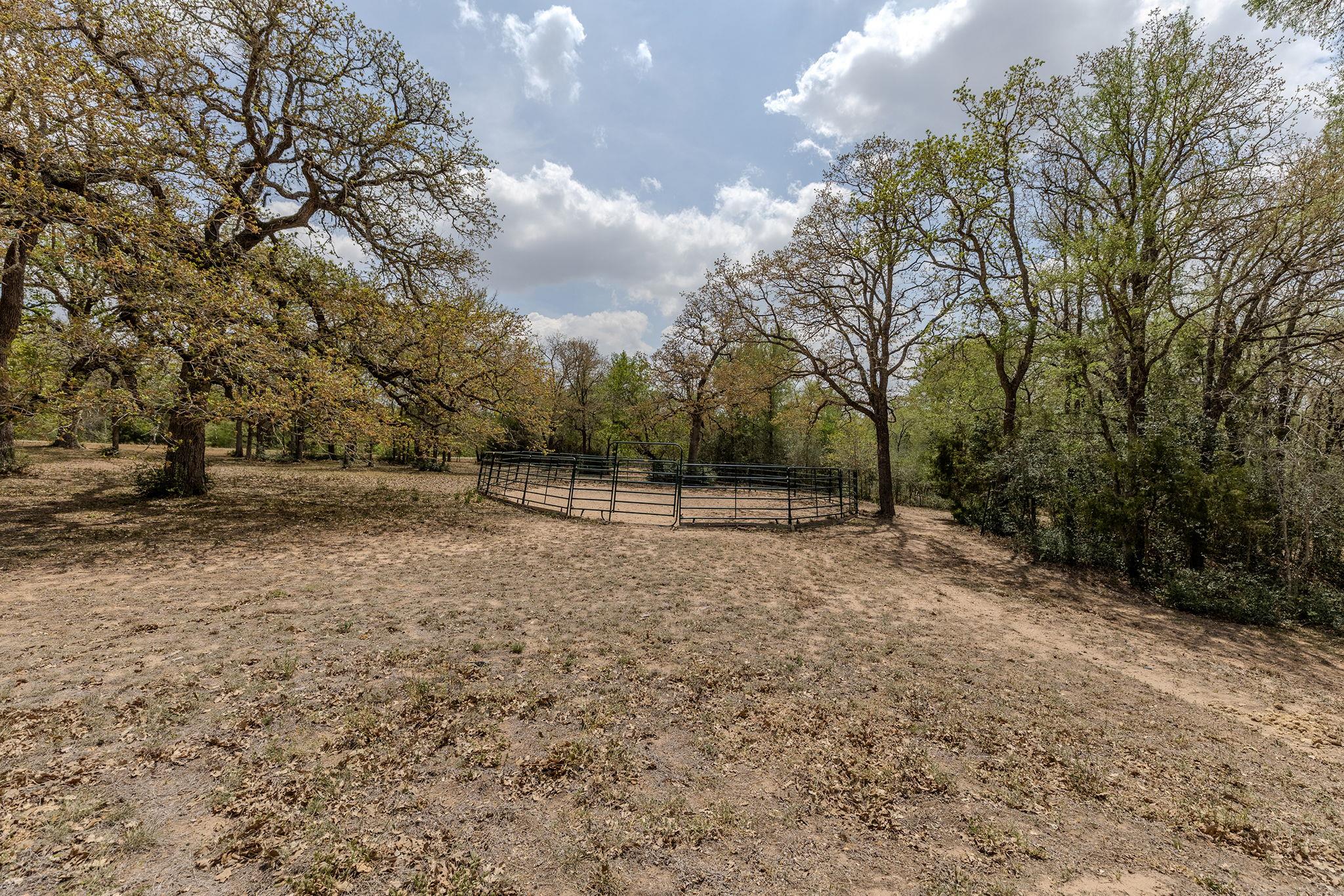 202 The Oaks Boulevard Elgin TX 78621