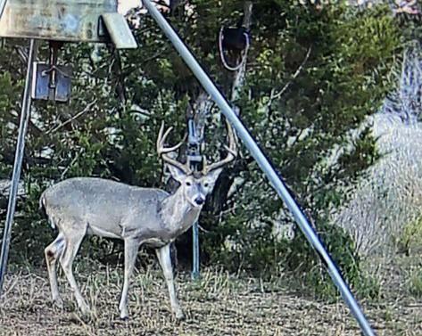 199 Middleton Road Spicewood TX 78669