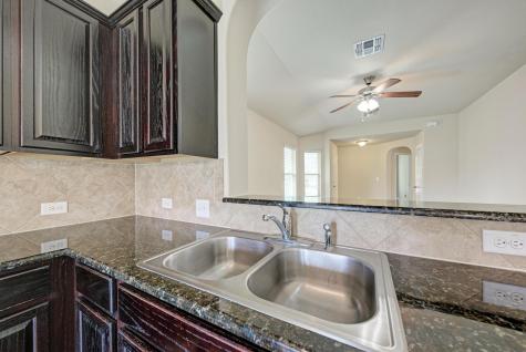 12413 Walter Vaughn Drive Manor TX 78653