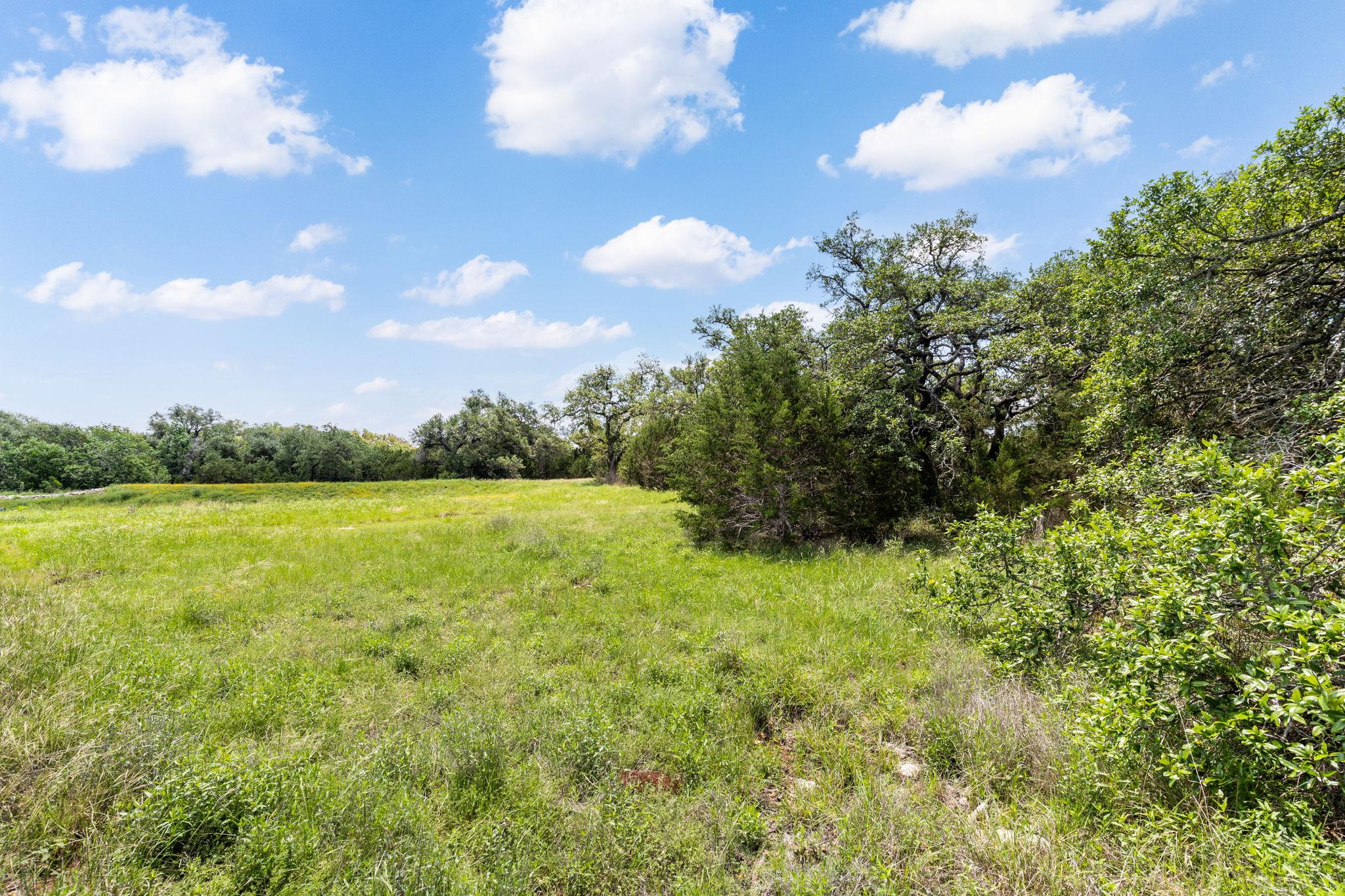 246 Toyah Drive Dripping Springs TX 78620