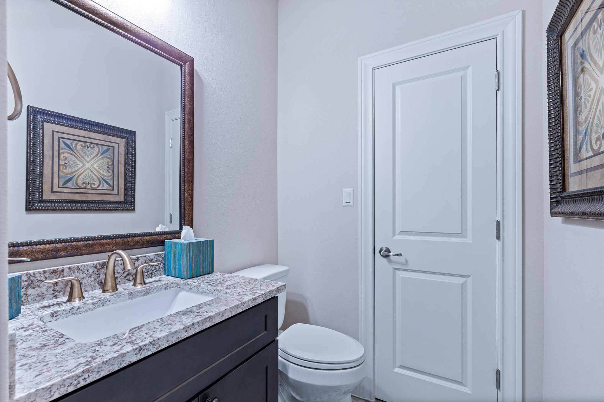 317 Skyflower Drive Georgetown TX 78628