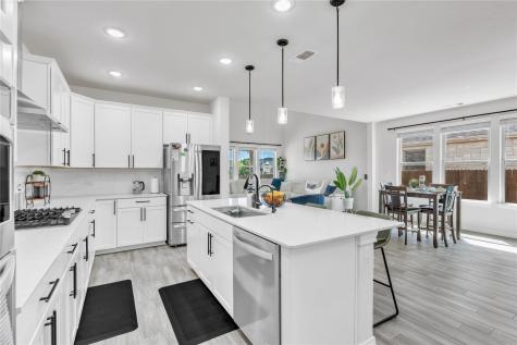 204 Janelle Lane Liberty Hill TX 78642
