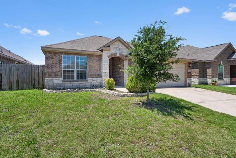 19217 Ellary Lane Manor TX 78653