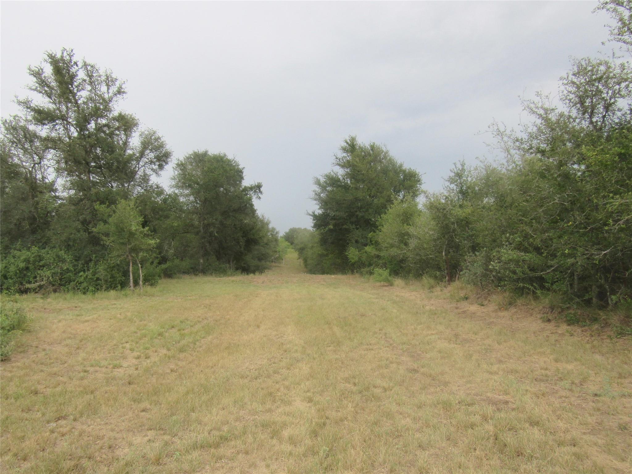 353 Littig Road Elgin TX 78621