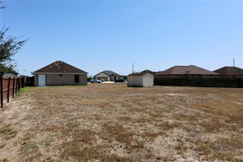 1041 Pasto Drive Los Fresnos TX 78566