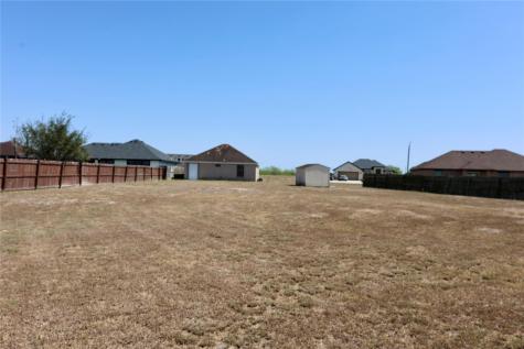 1041 Pasto Drive Los Fresnos TX 78566