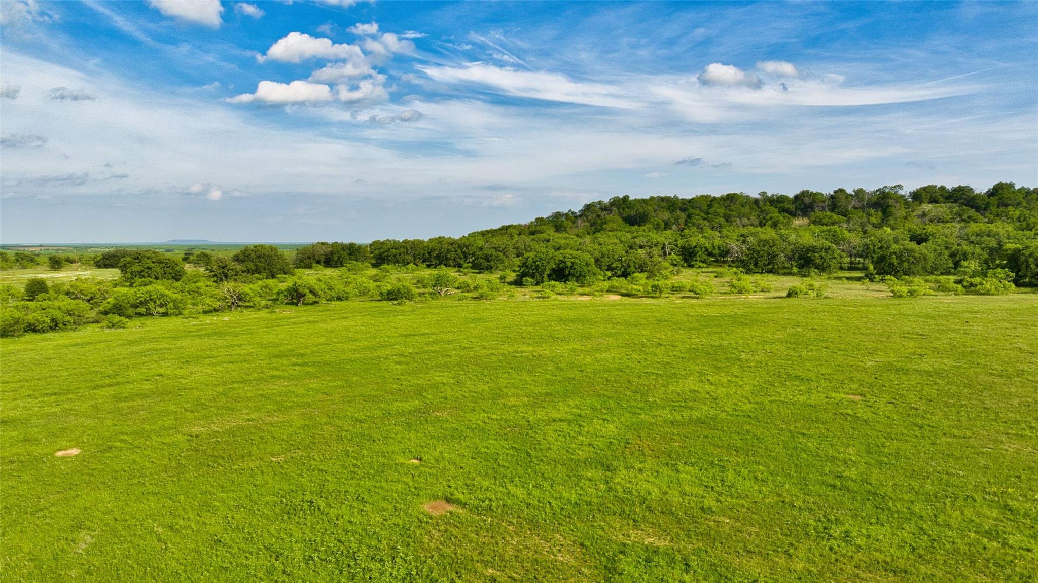 2387 Fm 503 Coleman TX 76834