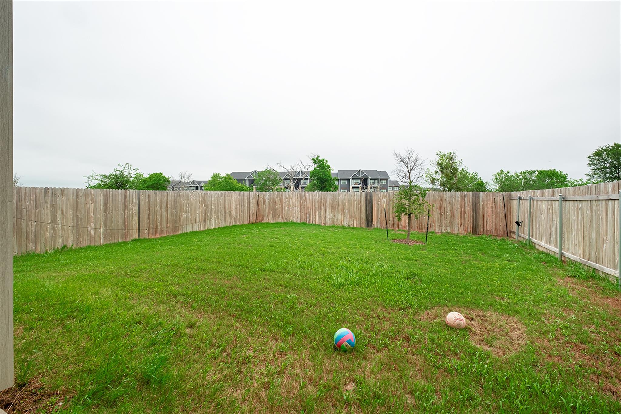 12612 Penguin Path Manor TX 78653
