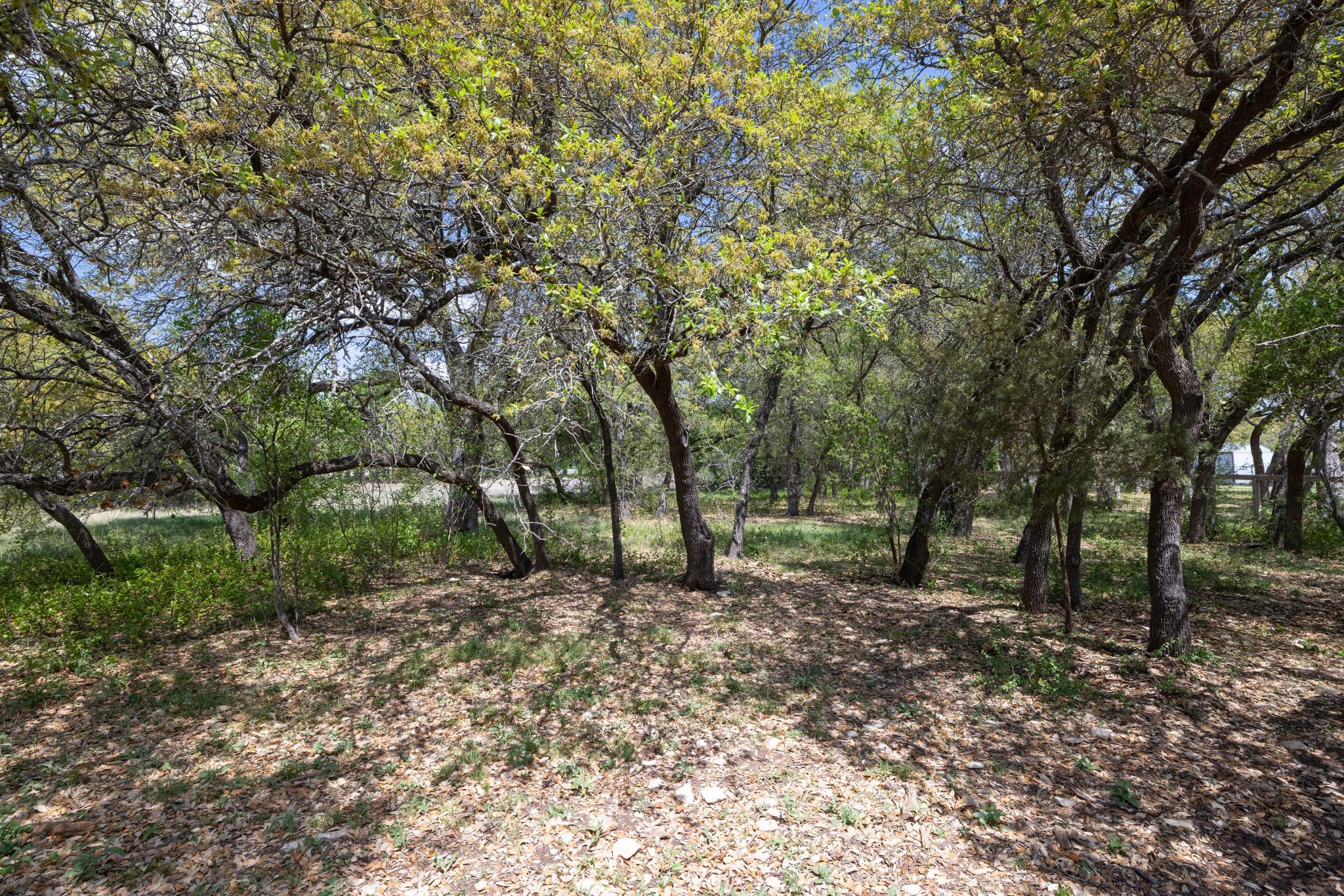 909 Highland Spring Lane Georgetown TX 78633