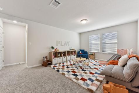 307 Cathedral Mountain Drive Dripping Springs TX 78620