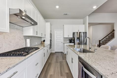 307 Cathedral Mountain Drive Dripping Springs TX 78620