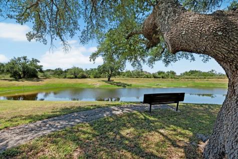 208 Double Horn Trail Spicewood TX 78669