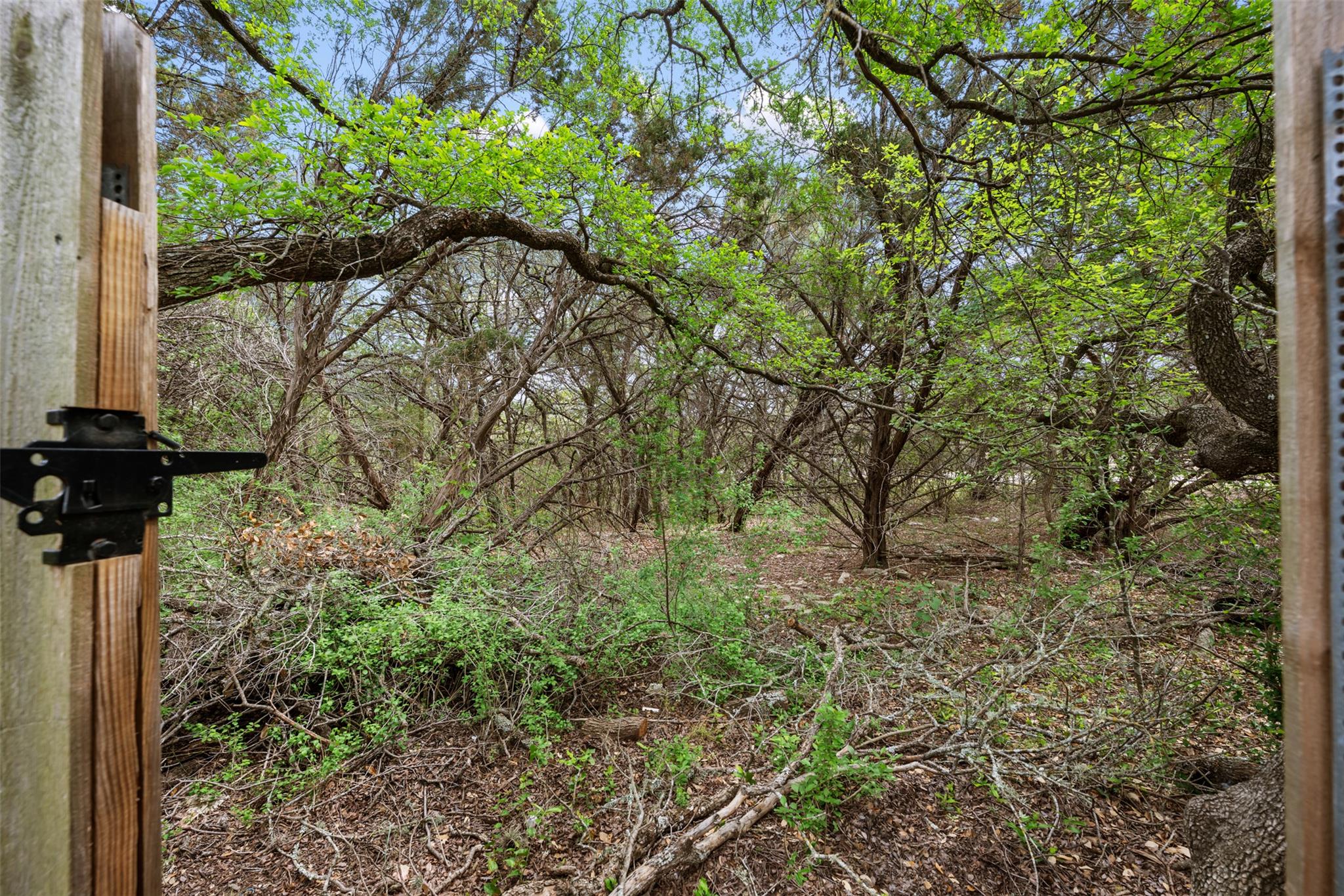 6825 Hansa Loop Austin TX 78739