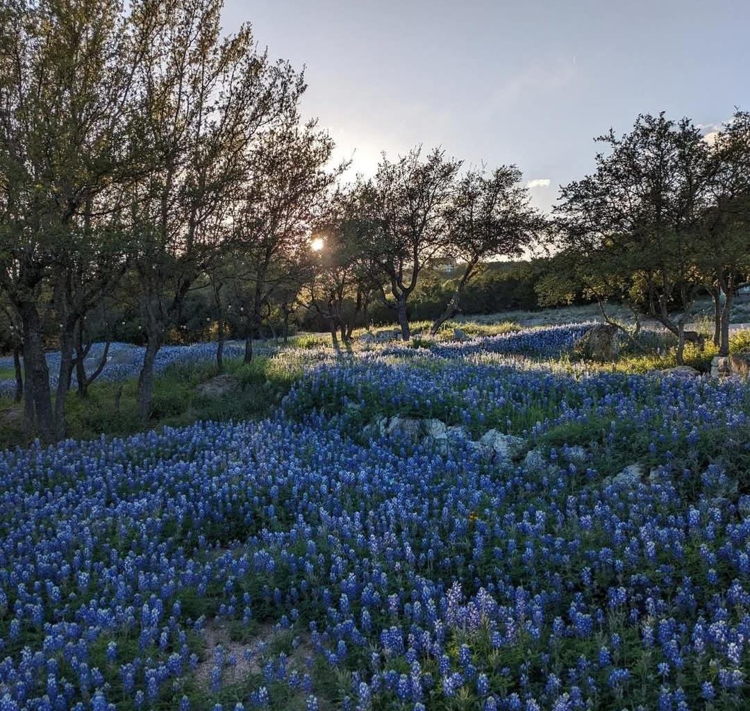 4115 Noon Day Cove Bee Cave TX 78738